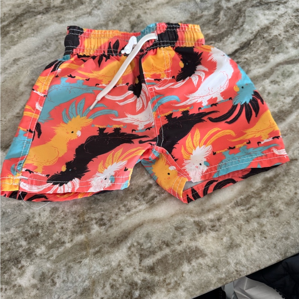 Wes and Willy Colorful toddler boy swimsuit
